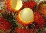 01_rambutan.jpg