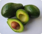 AVOCADO.jpg