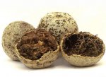 woodapple.jpg