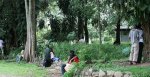 park.jpg park.jpg