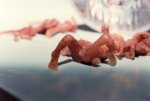 abort10w191.jpg abort10w191.jpg
