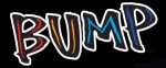 bump20102.jpg