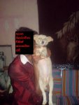 Pet.JPG