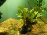 20140722_184512.jpg