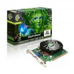 Point-Of-View-POV-GeForce-GT-440-1GB.jpg