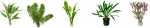 Aquatics-Plant-Range.jpg