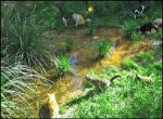 image017.jpg