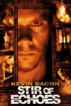 stir of echoes.jpg