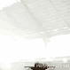 avatar368498_4.gif