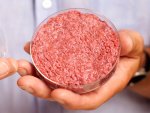 cultured-beef-artificial-meat-held-by-professor-post-of-the-university-of-maastricht.jpg