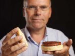 hamburger-artificiale.jpg