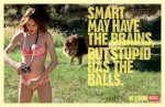 be-stupid.jpg