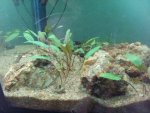 20140801_152417.jpg