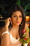 shradhadas01.jpg