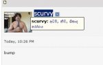 sucrvy.jpg