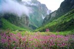 beautiful-scene-in-Himalayas-on-the-trek-to-Valley-of-Flowers.jpg