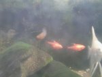 20140811_074909.jpg