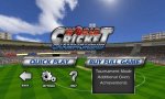 World Cricket (1).jpg