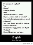 funny-english-language-joke.jpg funny-english-language-joke.jpg