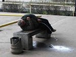 15_pics-2.jpg