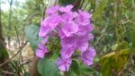 20140729_121549.jpg