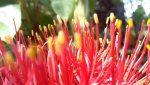 20140731_095337.jpg