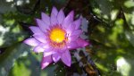 20140805_103919.jpg