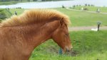 20140812_113607.jpg