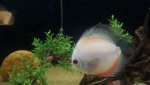 20140815_110448.jpg