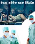 doc-gossip9.jpg
