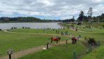 20140812_113358.jpg
