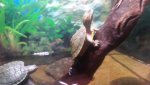 20140815_110433.jpg