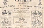 Advert (4).jpg
