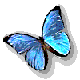 b195.gif