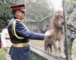 alwaysalion_news_1251003071500.jpg