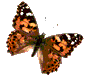 b191.gif