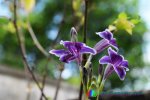DSC_0019.jpg