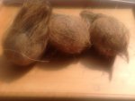 20130311-144127.jpg