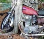 bike 1111.JPG