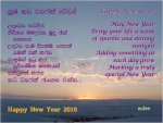 NewYear-2010-2.JPG