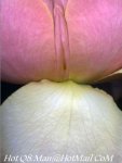 image007.jpg