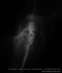 skull100.jpg