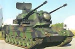 gepard1s.jpg