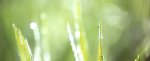 Roja_Chinna_Chinna_5.1_Audio.avi_000250541.jpg