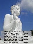 vesak12.jpg