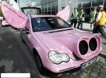 pig-car.jpg