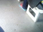 IMG00447-20120408-1056.jpg