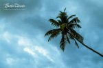 DSC_0158.jpg