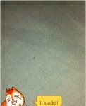 TMPDOODLE1436521342653.jpg