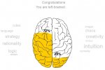 Brain.jpg